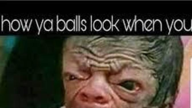 What's one of your favorite memes?