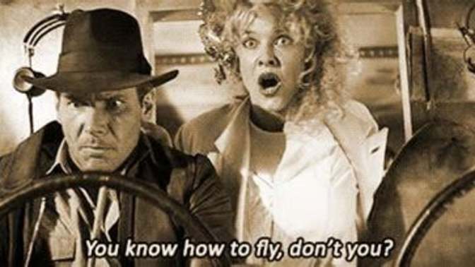 Do you think you could land a plane if someone walked you through it?