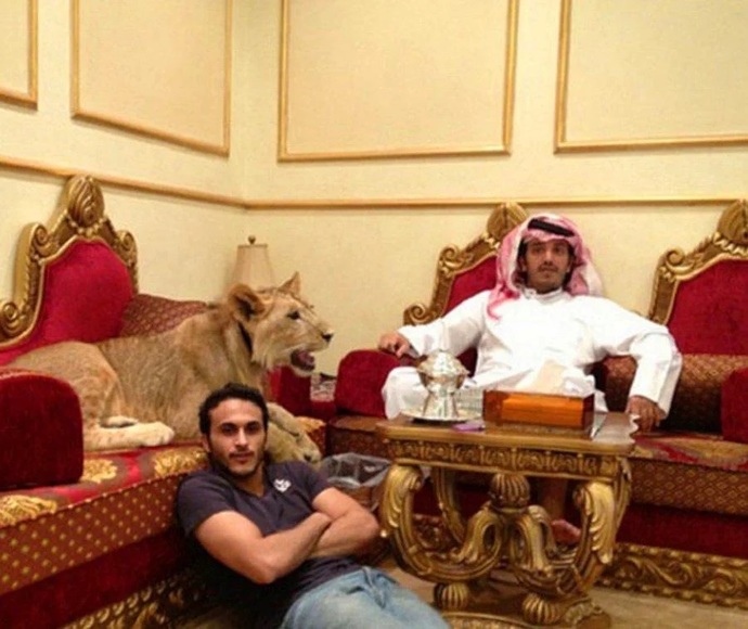 Do you have a pet lion?