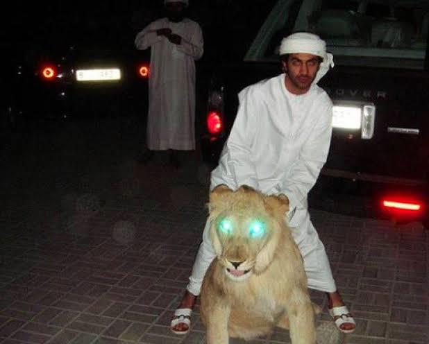 Do you have a pet lion?