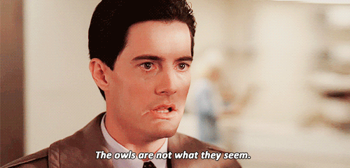 How would you react if someone told you the Owls are not what they seem?