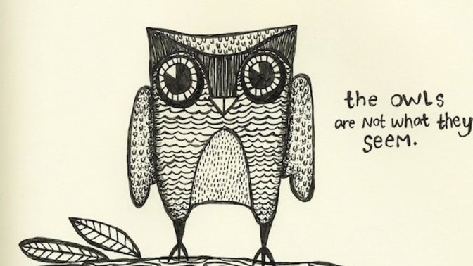 How would you react if someone told you 'the Owls are not what they seem'?