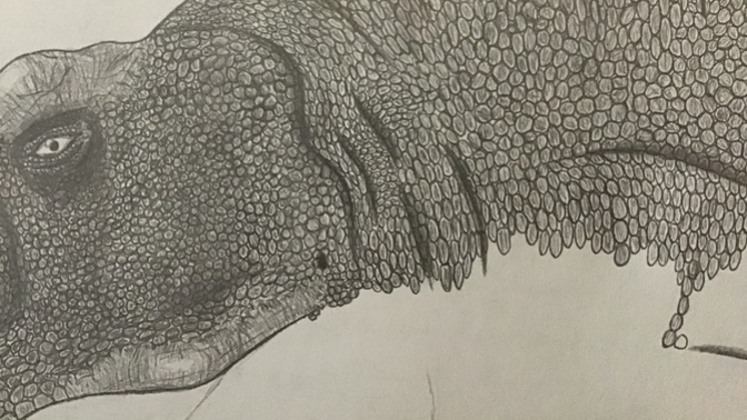 Another update on that T-Rex?
