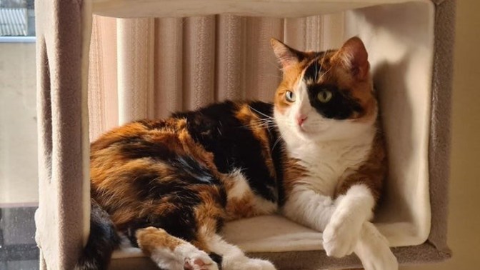 Check in time! How is everyone doing?