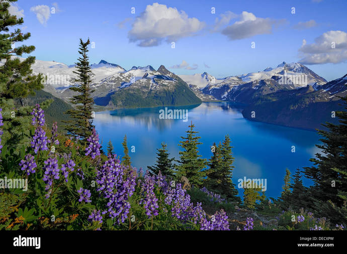 How would you visit Canada if you could?