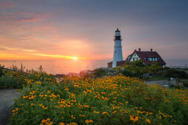 What do you think of Matt Walshs 2A take?