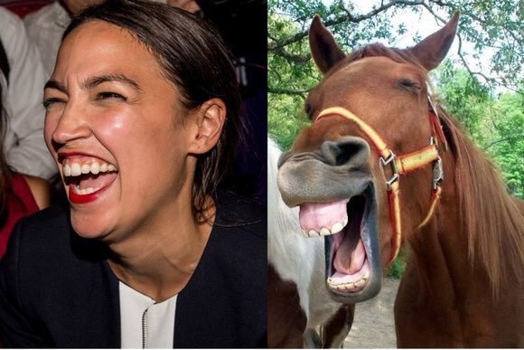 Elon Musk is worth over 200 billion. Do you think that AOC selling her Tesla will hurt his feelings?