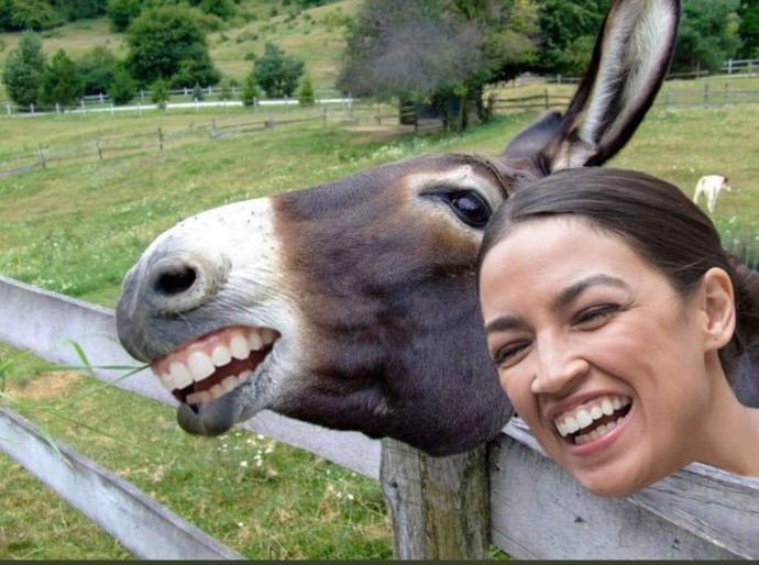 Elon Musk is worth over 200 billion. Do you think that AOC selling her Tesla will hurt his feelings?