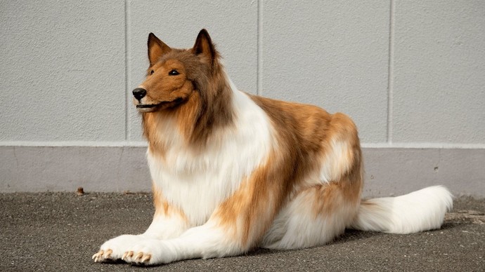 How would you feel if you got a new dog and found out it was a man?