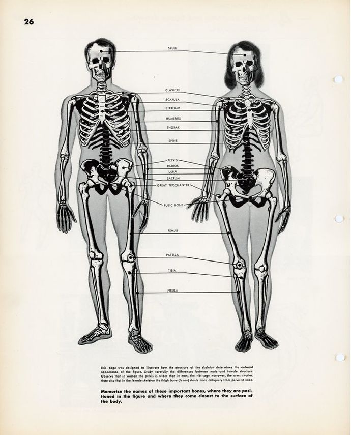Why do people call models anorexic?