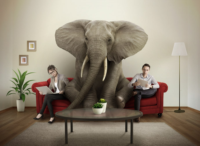 How do you feel about the Elephant or elephants in your room 🐘 ?