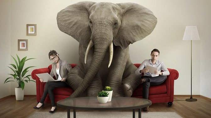How do you feel about the Elephant or elephants in your room 🐘 ?