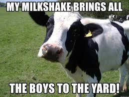 Have you NEVER seen a cow?