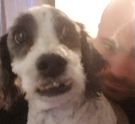Do you have pets?
