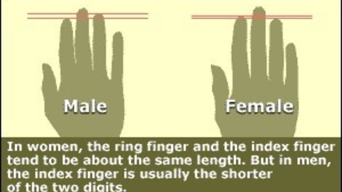 Does your digit ratio match your gender?