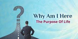 Do I have a purpose in life is that why I survived?