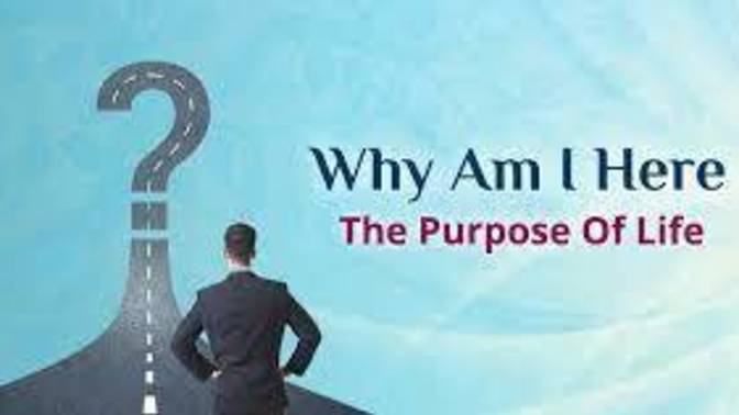 Do I have a purpose in life is that why I survived?