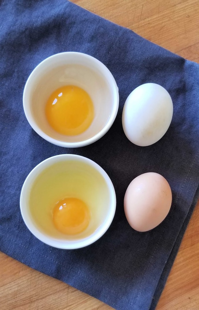 Should grocery stores be allowed to sell human eggs?
