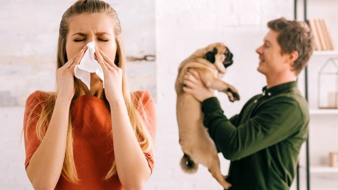 Would you get rid of your dog if your spouse became allergic to it? 