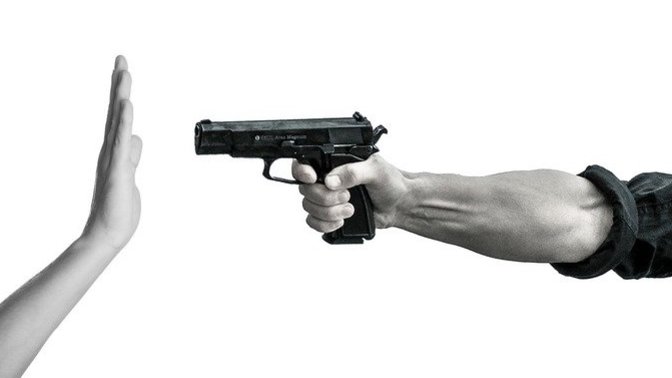 If the USA establishes strict gun control laws, how would that make you feel?