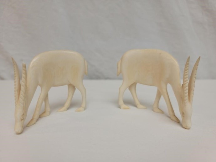 Which item is the most awesome?