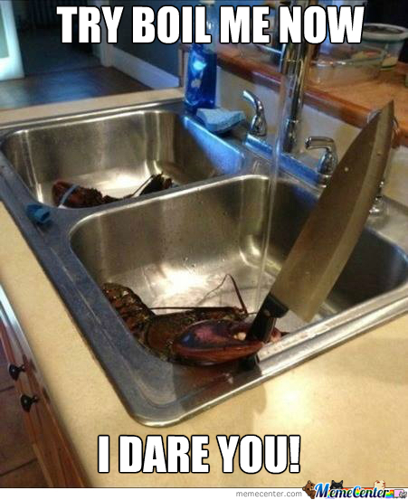 Do you like to eat Lobster?