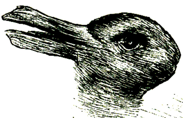 What kind of animal do you see in this picture?