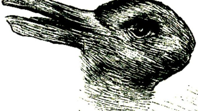 What kind of animal do you see in this picture?