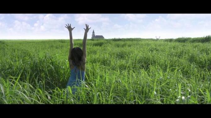 What do you think about "in the tall grass" movie netflix? Did you finaly undrestand what happned? what is the worst thing about it?