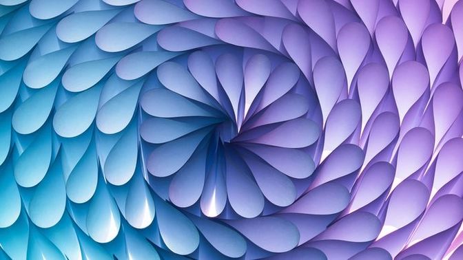 Can you get a job as a graphic designer with a bachelors in Studio Arts?