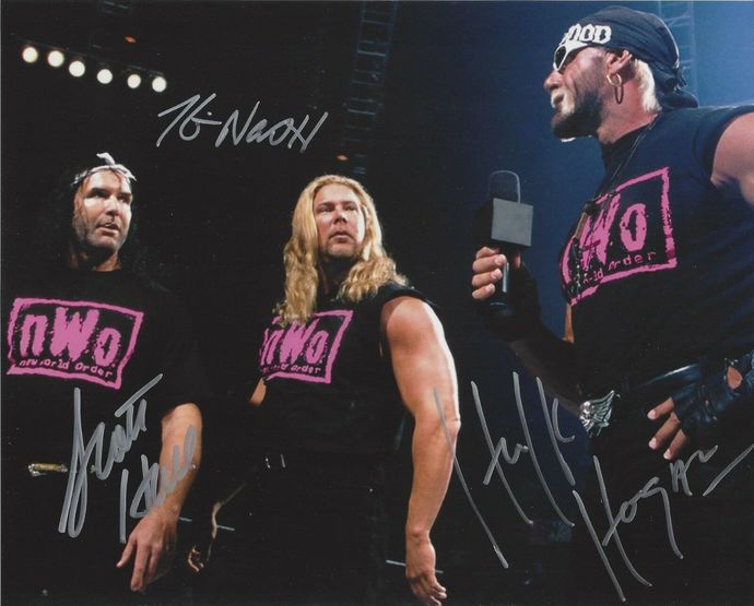 If you were to be a pro wrestler, which wrestling tag team stable would you prefer to join, the nWo or DX?