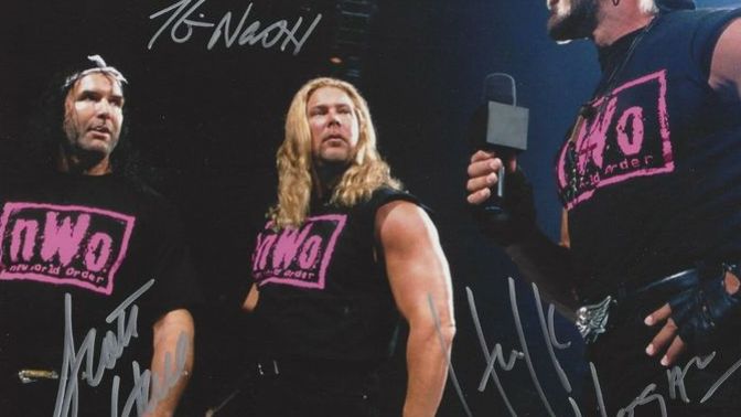 If you were to be a pro wrestler, which wrestling tag team stable would you prefer to join, the nWo or DX?