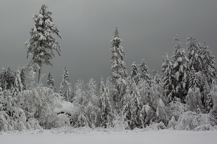 what’s your favorite season?