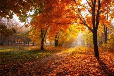 what’s your favorite season?