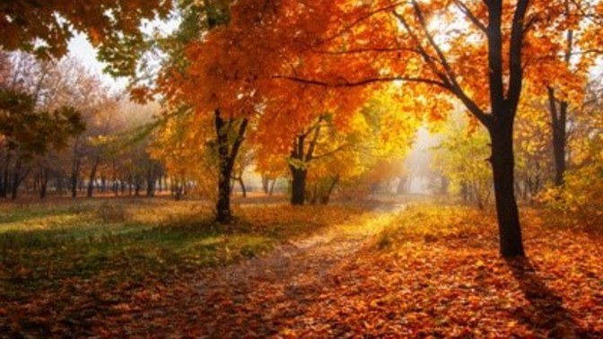 What’s your favorite season?