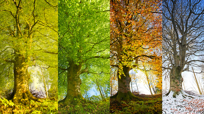 What are your guys fave seasons?