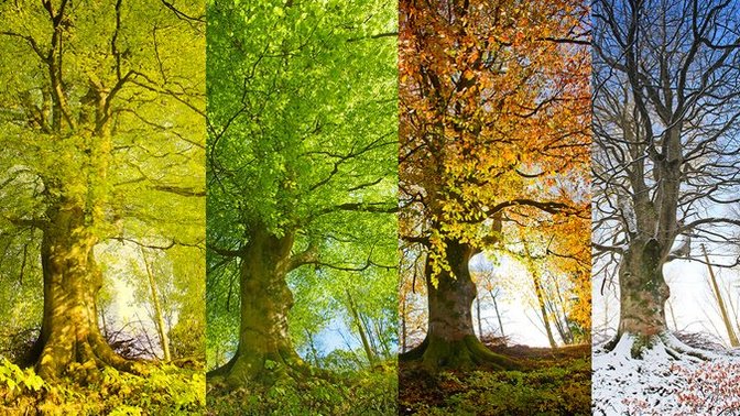 What are your guy's fave seasons?