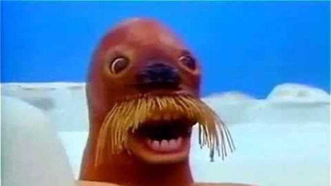 Did any of you get terrified as a kid of this walrus scene in Pingu (video attached)?