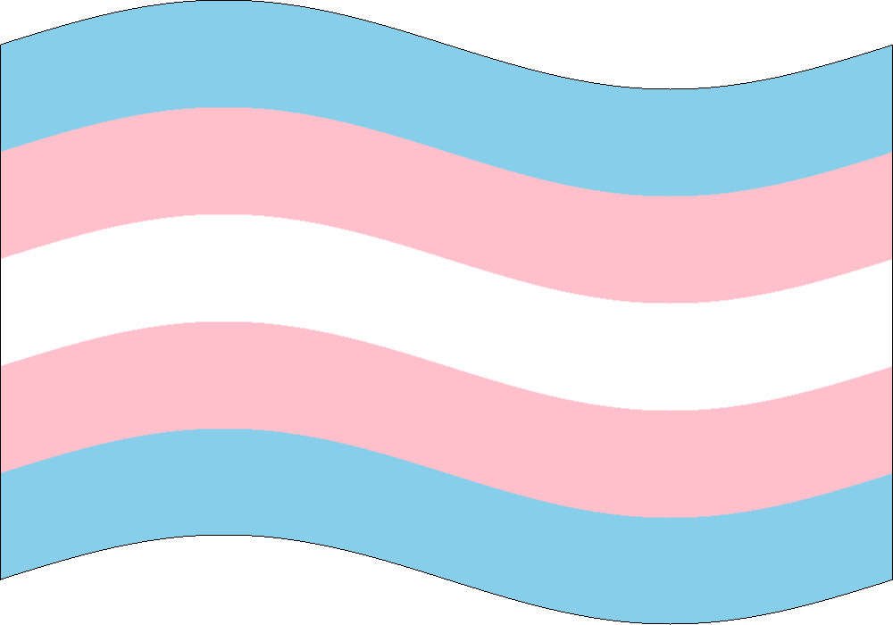 Do you know any actual Trans people in your real lives?