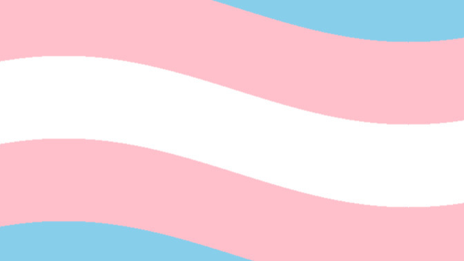 Do you know any actual Trans people in your real lives?