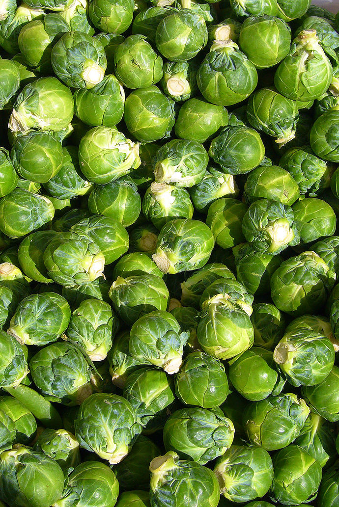 Do YOU... like Brussels Sprouts?