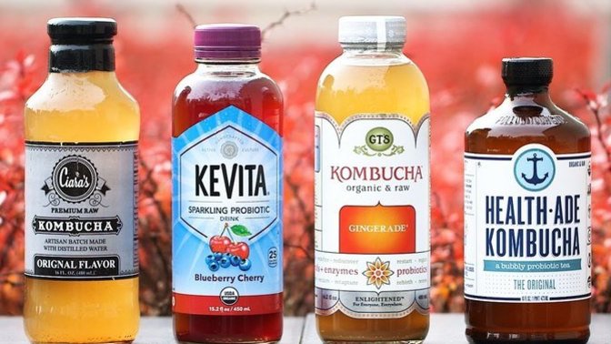 Would you drink kombucha?
