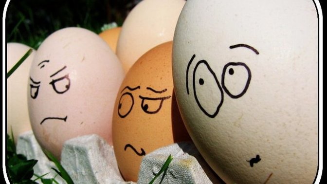 Do you like white eggs or brown eggs?