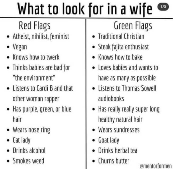 Ladies of GAG, how many red flags do you have? Wife-seekers, is this the truth or what?
