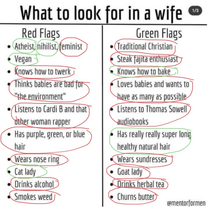 Ladies of GAG, how many red flags do you have? Wife-seekers, is this the truth or what?