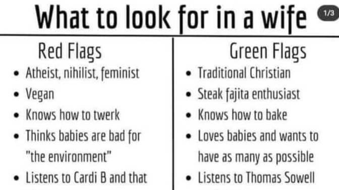 Ladies of GAG, how many red flags do you have? Wife-seekers, is this the truth or what?