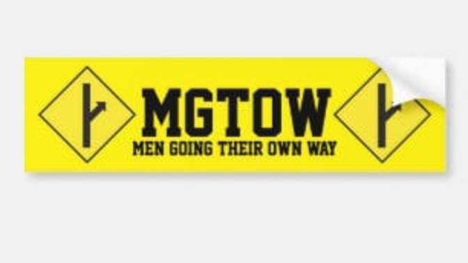 The reason why I am a MGTOW man is because of these 5 facts and one YouTube video. Have I been misguided or am I in the right path and mindset?