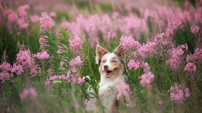Do you like this pic, what is he thinking?