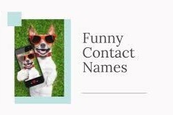 Ever saved weird/funny contact names of your friends, family, ex in your phone? Share examples?