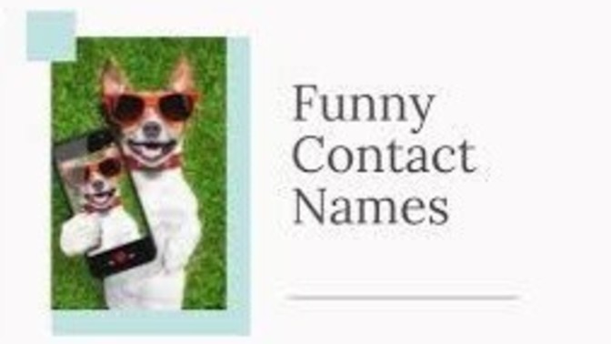 Ever saved weird/funny contact names of your friends, family, ex in your phone? Share examples?